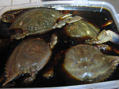 밥도둑 이미지