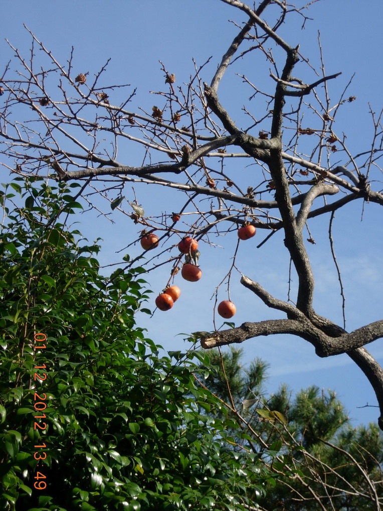다시 찾아간 제주 보덕사