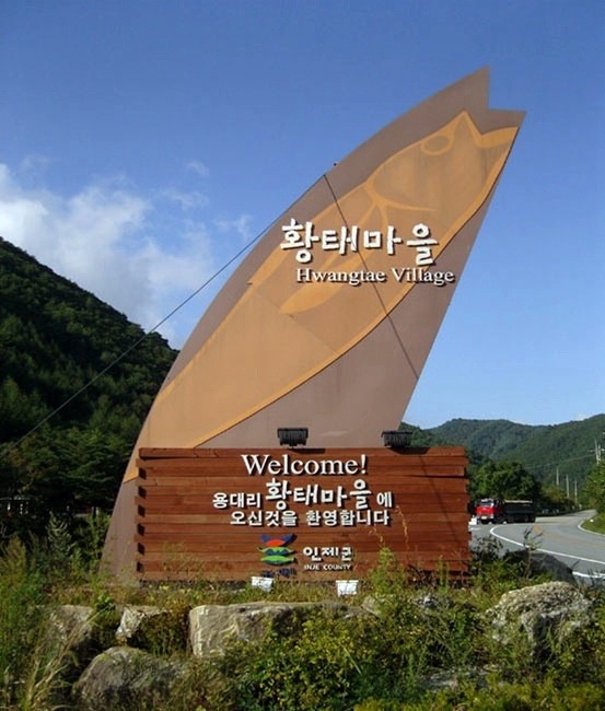황태마을 이미지