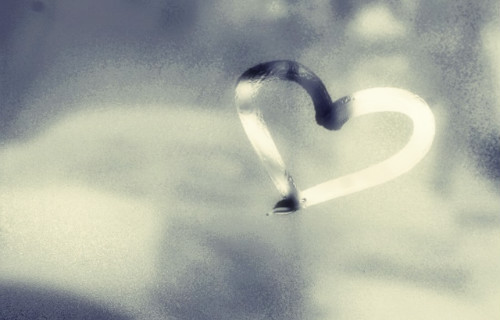 202562144C43F84133051B