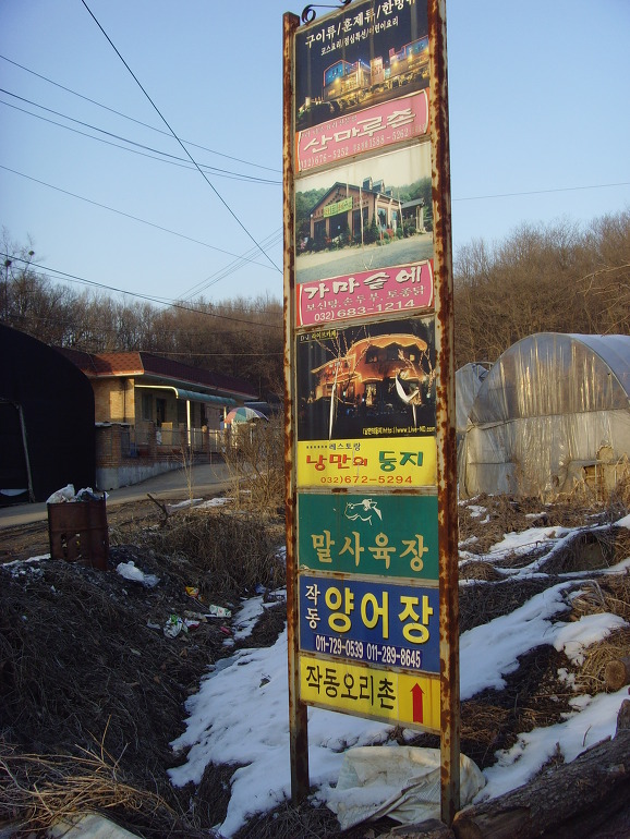 낭만의 둥지 이미지