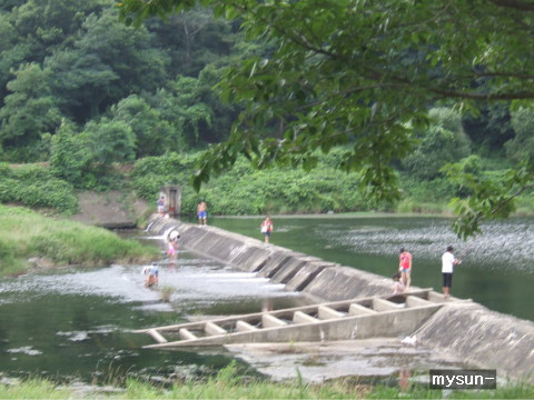 청정바람 이미지