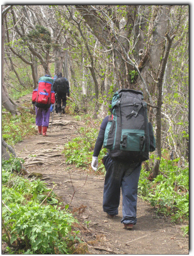 [울릉도-16부] 울릉도를 다녀오면서 (에필로그)