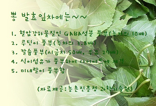 잎차 이미지
