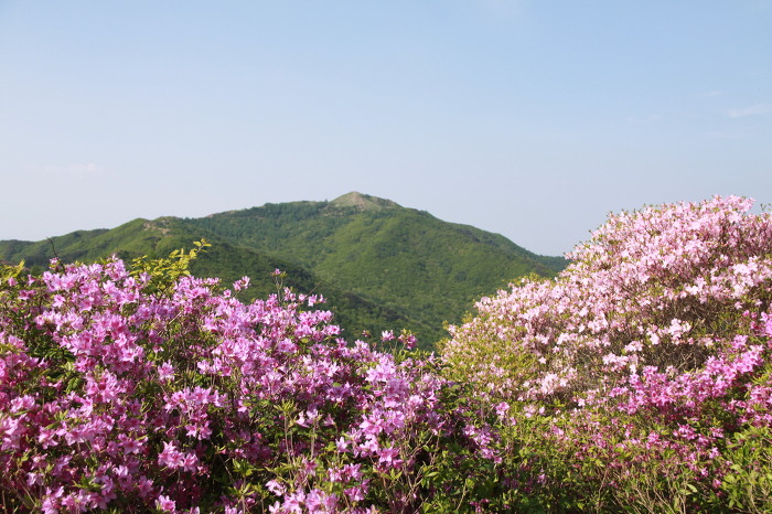 청산 이미지