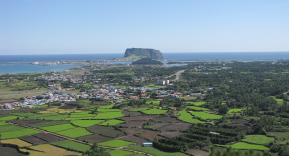 이미지 전체보기