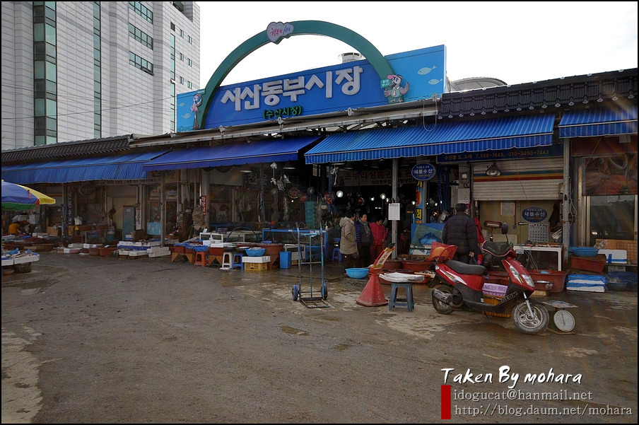 서산낙지 이미지