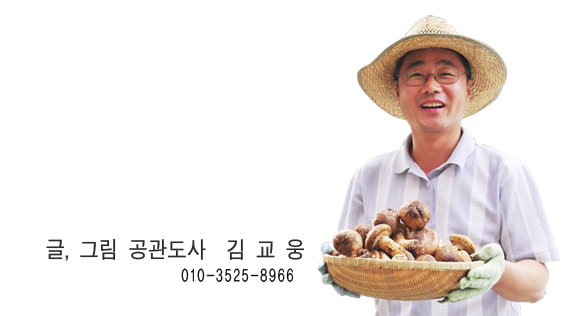 송이유통 이미지