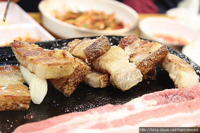 탐라제주도야지 이미지