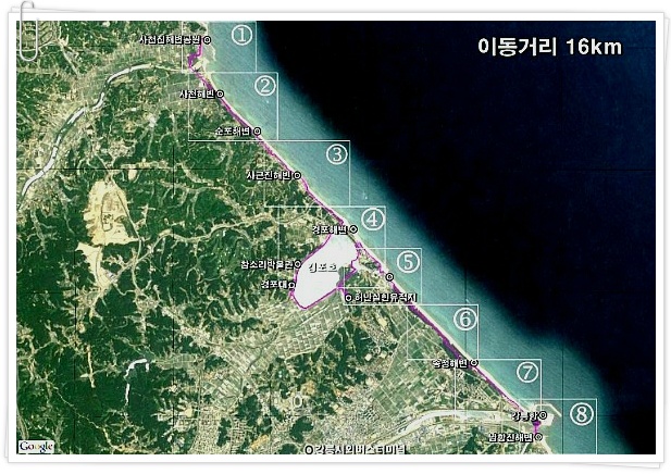 (사)강릉바우길 이미지