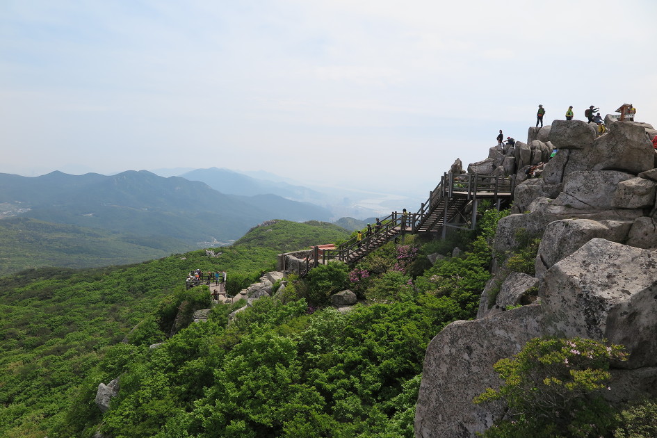 이미지