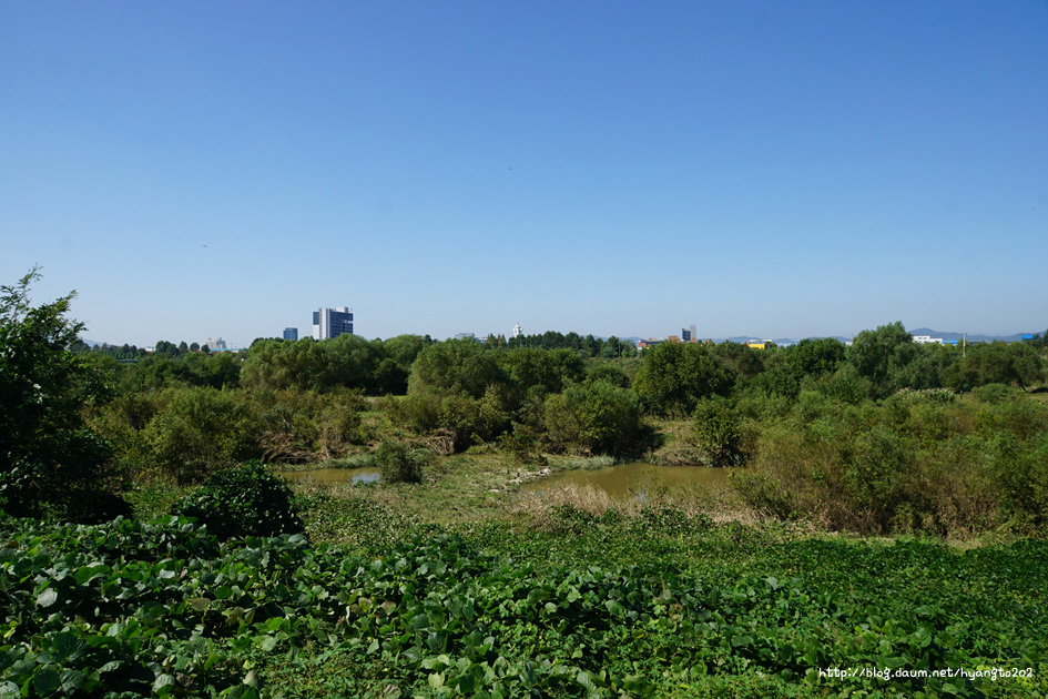 학산 정갑수 선생의 원기론(元氣論) 이미지