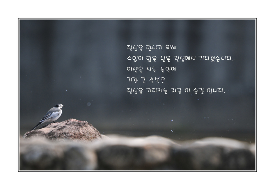 이해인수녀님 .용혜원님 시