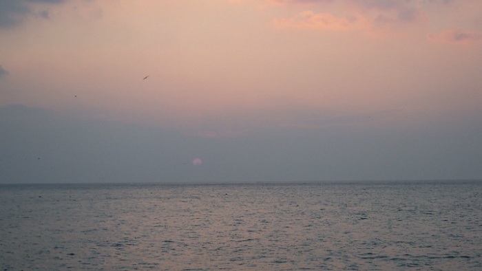 2013년 설날 동해일출