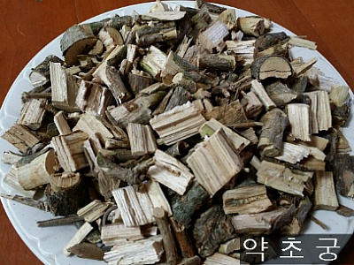 좋은나무 이미지
