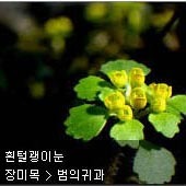 꽃이름 찾기