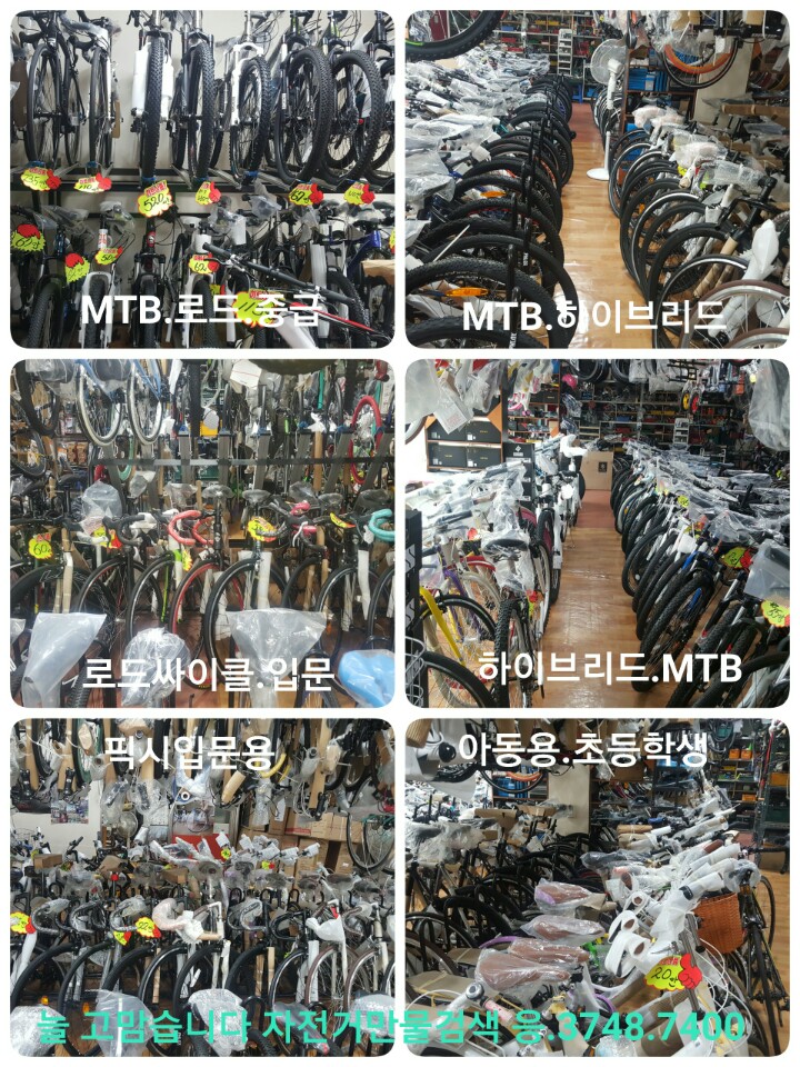 블로그 이미지