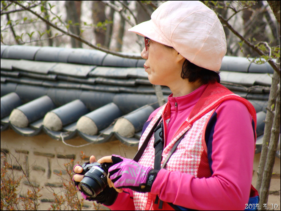 호암 미술관 희원&가실 벚꽃 길에서/2014, 4, 10