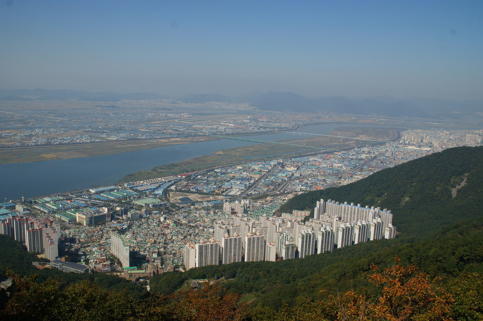 엄광산 ~ 구덕산 ~ 승학산(14.10.18 (토)) 억새