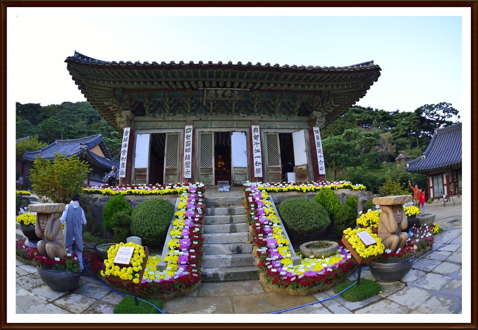 전등사 야간개장과 국화전시.....