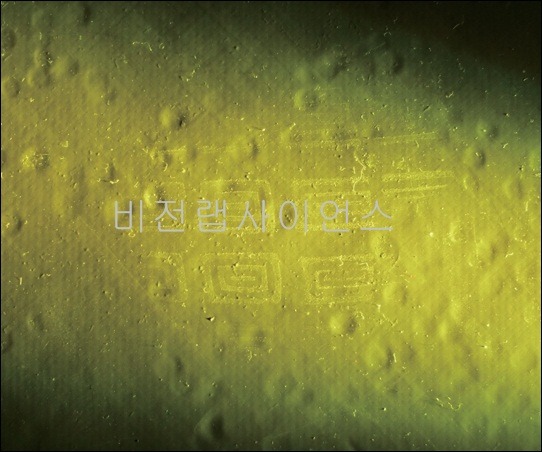 클린룸용HID라이트,HID FLASHLIGHT FOR CLEANROOM