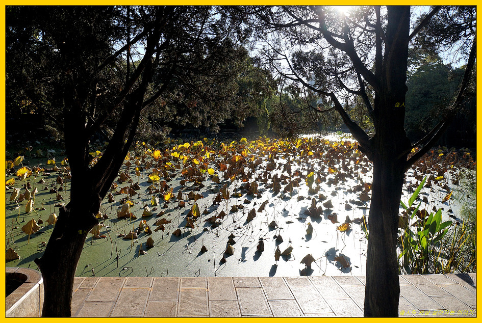 윈난 성 여행의 마무리