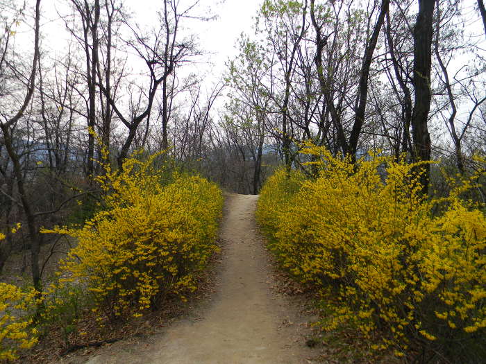 초안산 창1동, 창3동 구역 (박묵선의 밀양박씨 묘역)