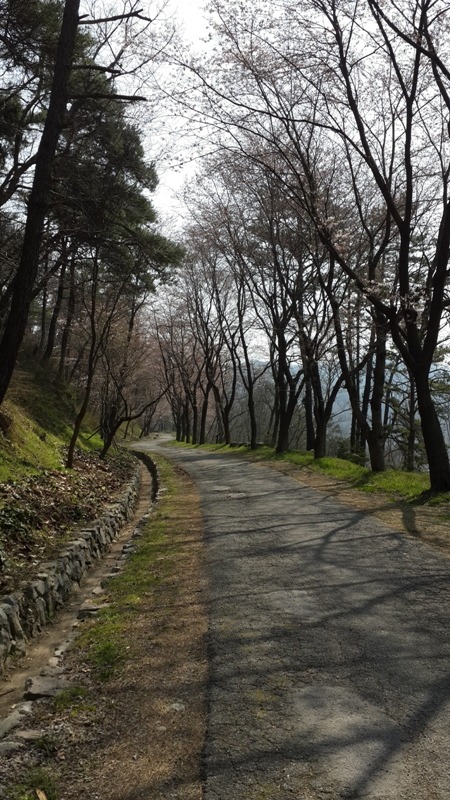이미 일어나버린 일은 인정하고 받아들여야...