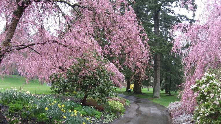 2376B34D52A50E1518566C