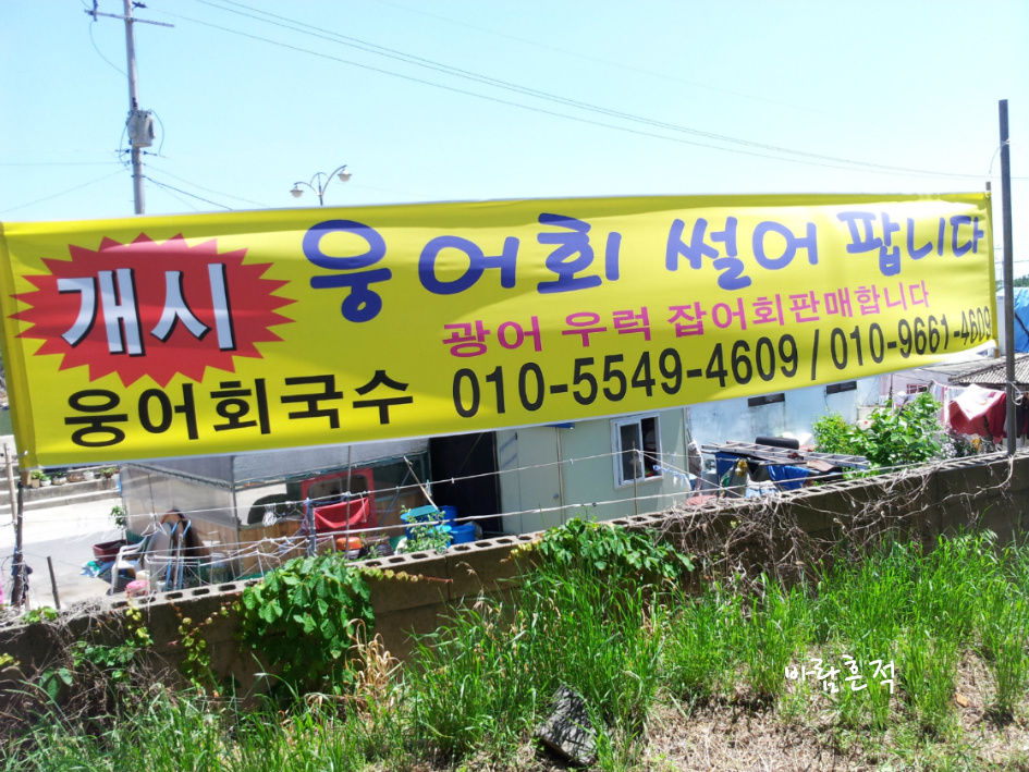 5~6월에만 맛볼수 있는 최고의 국수는?  봄 손님 웅어로 요리한 부드러운 웅어회국수 !