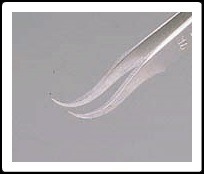정밀핀셋 ,TWEEZERS PRECISION CLEAN-PACK 