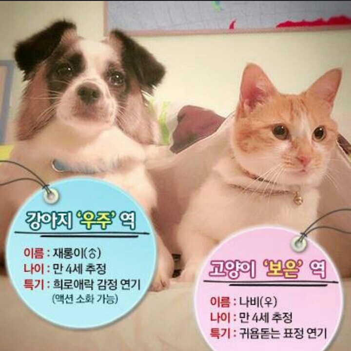 하이쿠 이미지