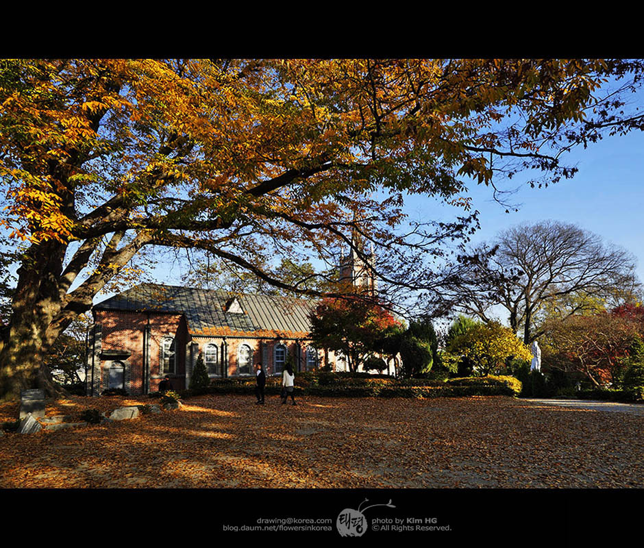 공세리성당