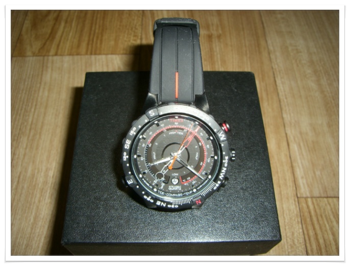 timex expedition t45581