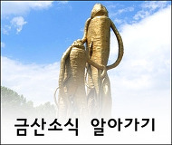 고려인삼쎈타 이미지