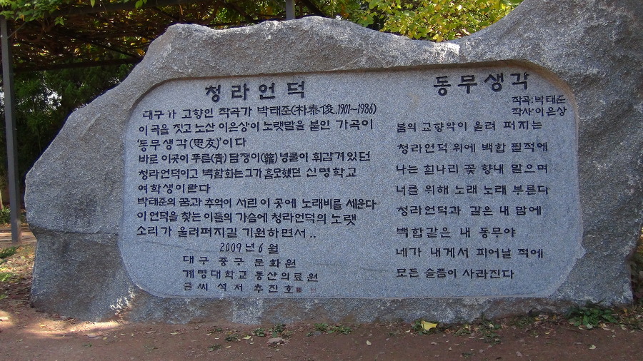 청라푸른담쟁이 이미지