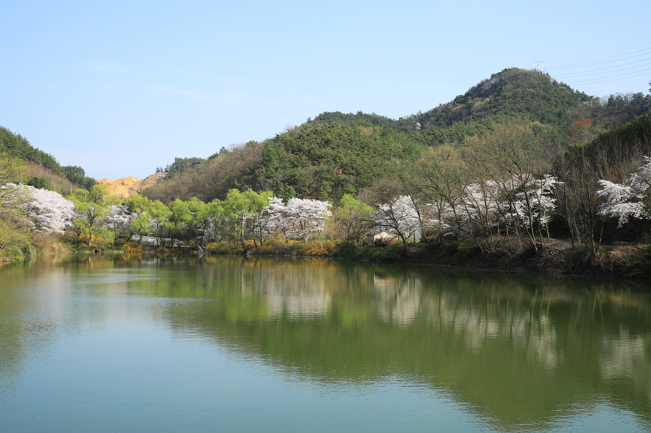 싱그러움이 있는 곳 함안 운곡저수지
