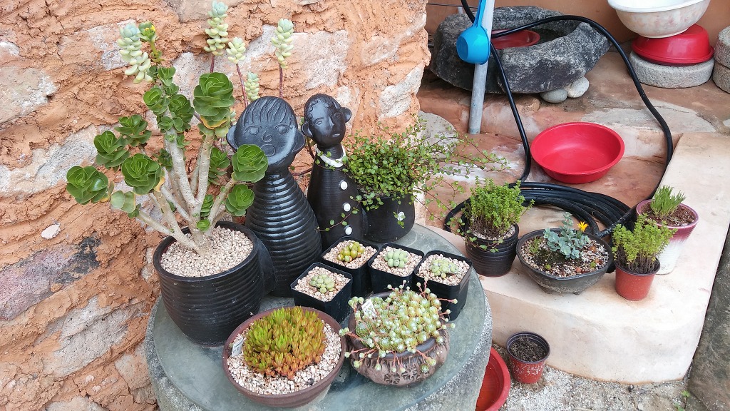 순천시 낙안읍성 연자방아민박집입니다.^^