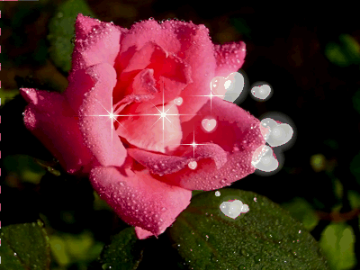 25671F3652F70686213190