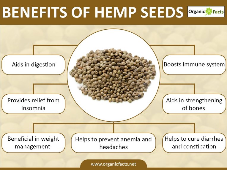 Are Hemp Seeds High In Protein