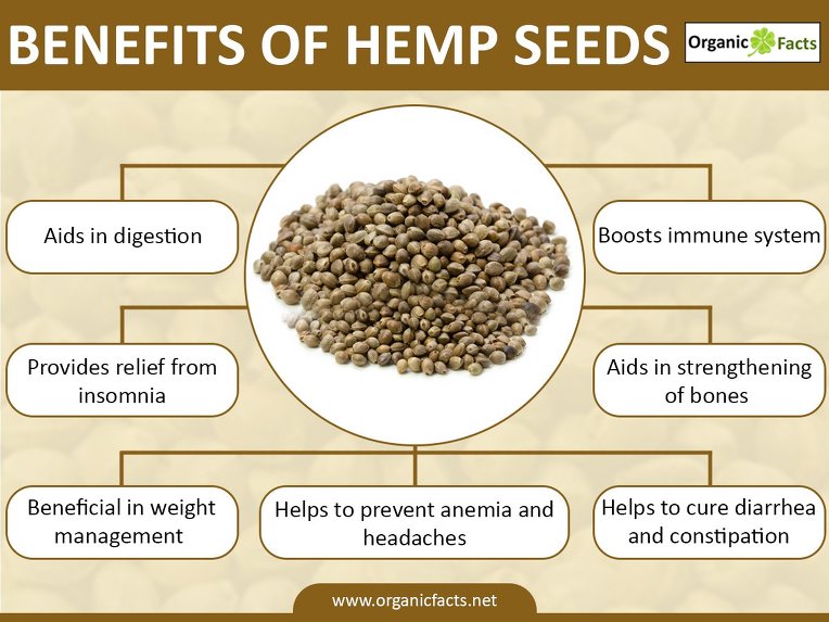  Hemp Seed 