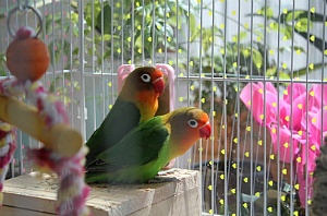 다시 쓰는 편파 블로그뉴스, 내 맘대로 뽑는 뷰 베스트 (7월 1주차)