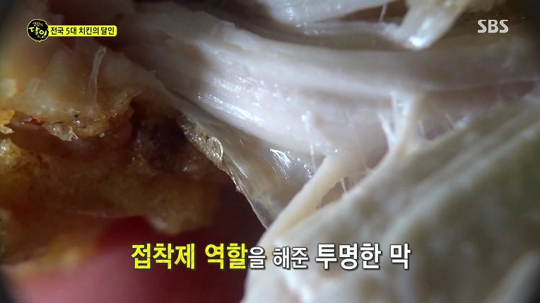 [생활의달인] 전국 5대 치킨의 달인 | 인스티즈