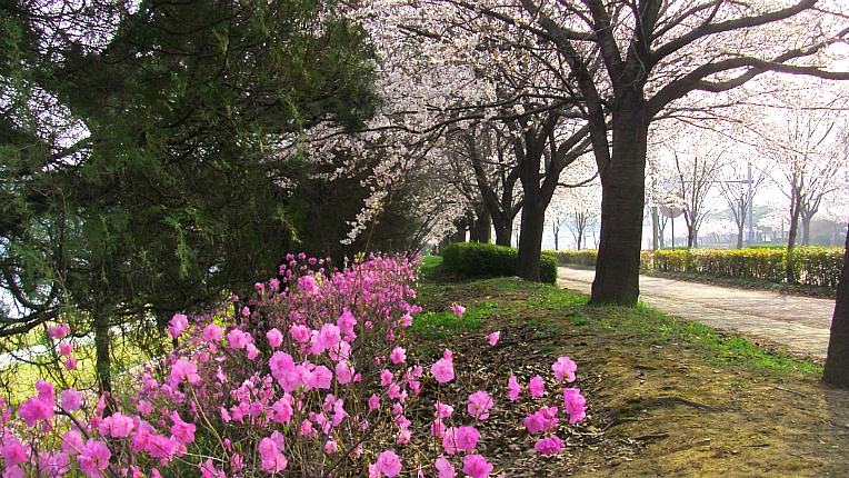 26398E44551902B718CF38