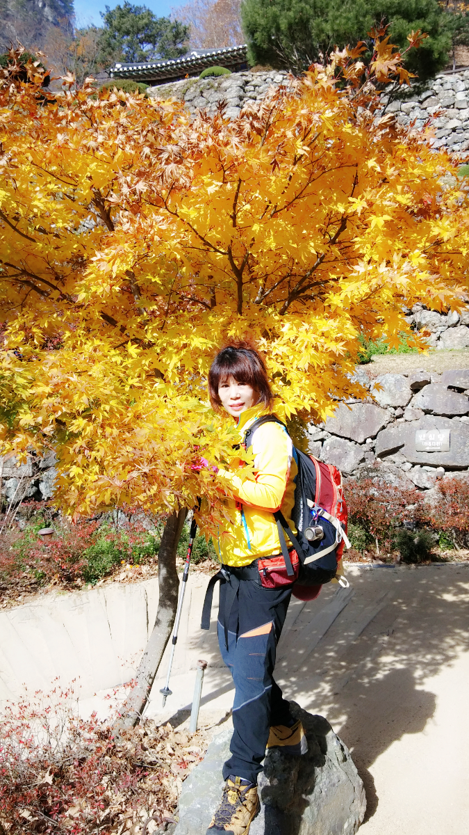 유진이 의 가을은...