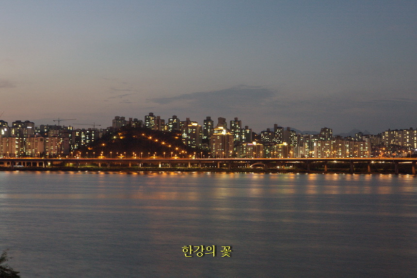 성수대교 야경
