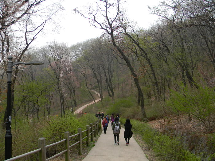 서울의 포근한 뒷동산, 남산 (한국인의 미소, 남산 산책로, 근래 개방된 한양도성 남산약수터 주변 구간)
