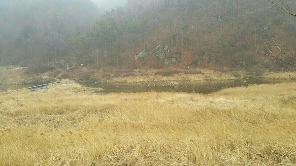 사진:양평용문역인근 맑은천옆(전)1,290평(수양관.요양원,전원주택부지) 