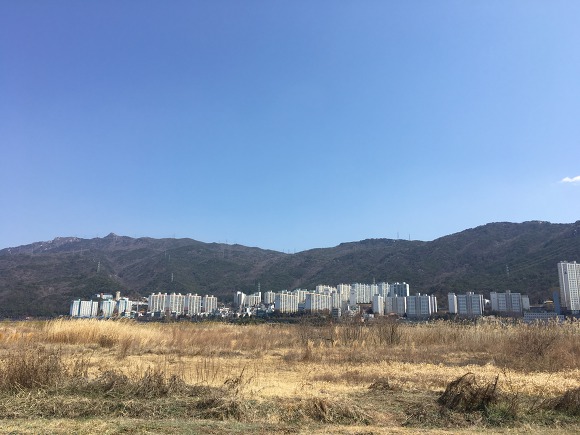 낙동강 자전거길 "대저생태공원"