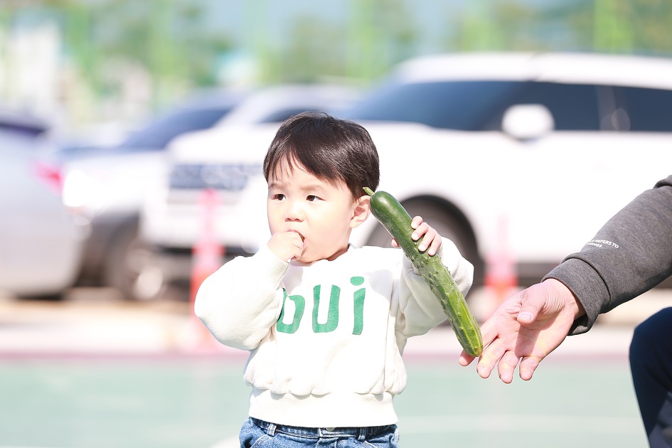 제1회 구례 노고단배 배구대회(대구올포원)
